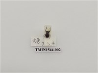 藏品(象鼻蟲科)的圖片